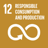 SDG 12 - Responsible Consumption and Production